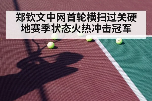 tennis player hard court