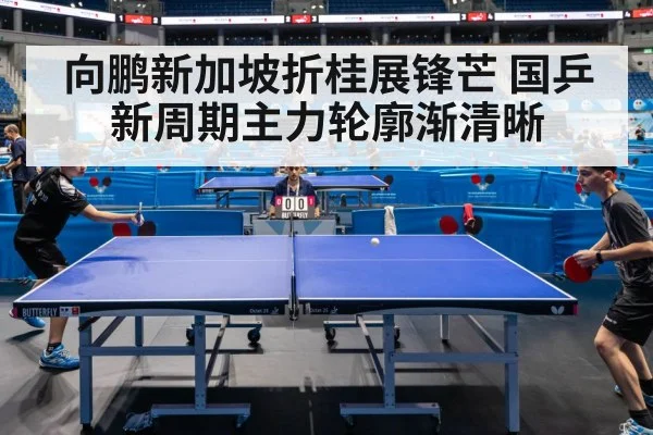 向鹏新加坡折桂展锋芒 国乒新周期主力轮廓渐清晰