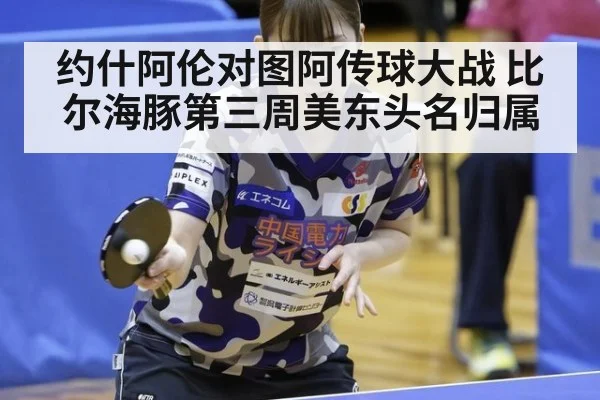 约什阿伦对图阿传球大战 比尔海豚第三周美东头名归属